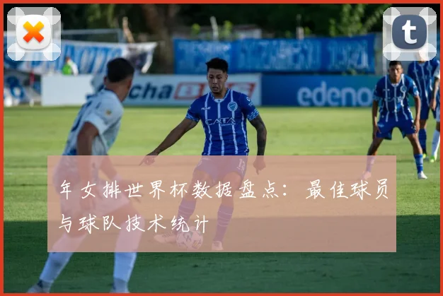 年女排世界杯数据盘点:最佳球员与球队技术统计