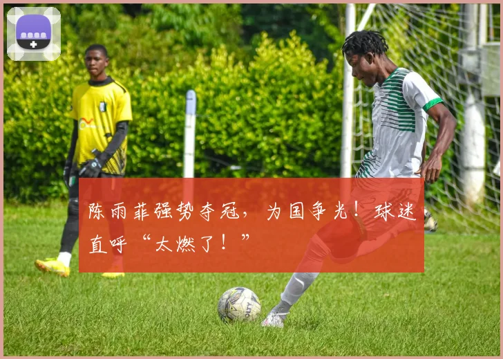陈雨菲强势夺冠,为国争光!球迷直呼“太燃了!”