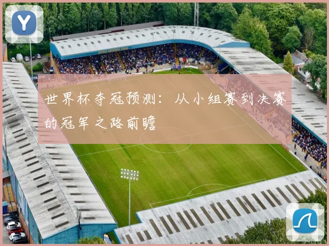 世界杯夺冠预测：从小组赛到决赛的冠军之路前瞻
