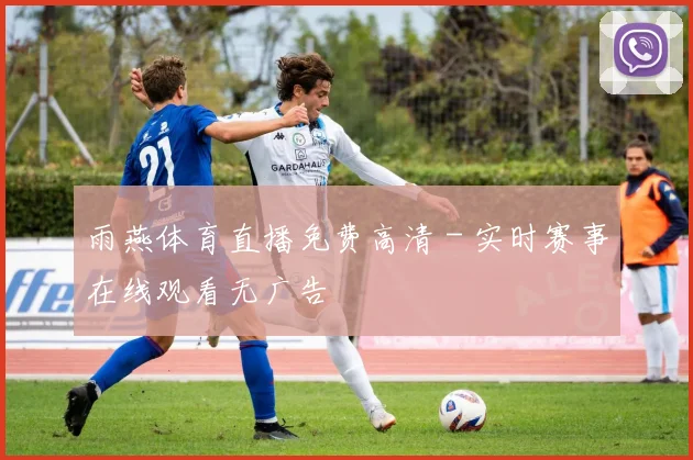 雨燕体育直播免费高清 - 实时赛事在线观看无广告