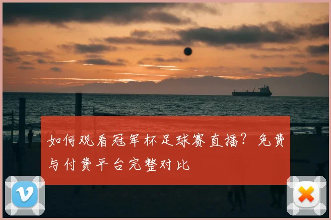 如何观看冠军杯足球赛直播？免费与付费平台完整对比